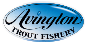 Avington Trout Fishery